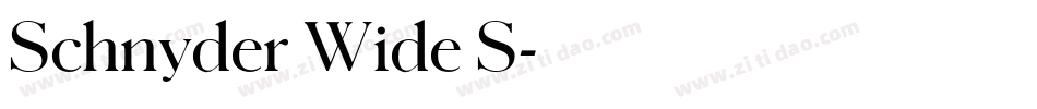 Schnyder Wide S字体转换